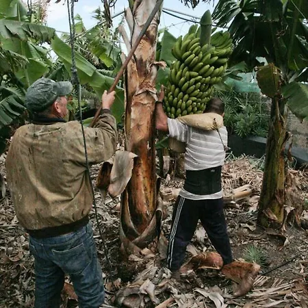 Finca El Apio